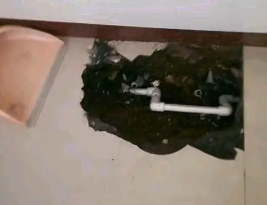 昂昂溪卫生间测漏水多少钱